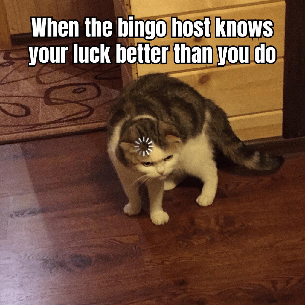 A HUMOROUS MEME DEPICTING A BINGO HOST WITH A CAPTION LIKE 