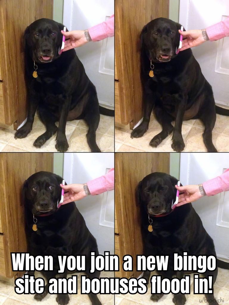 A HUMOROUS MEME DEPICTING A BINGO PLAYER OVERWHELMED WITH A FLOOD OF BONUS COUPONS, CAPTIONED 