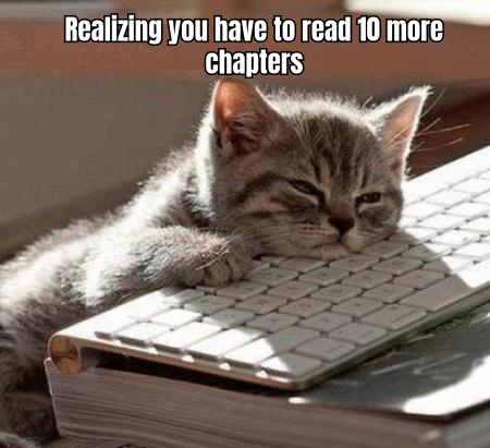 A MEME SHOWING A PERSON SITTING AT A COMPUTER WITH A PILE OF REVIEWS, CAPTIONED 