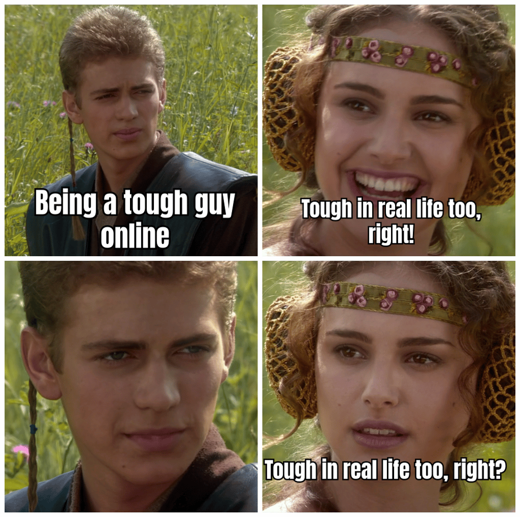 A MEME SHOWING A TOXIC PLAYER HIDING BEHIND A COMPUTER SCREEN WITH THE CAPTION "TOUGH GUY ONLINE, SILENT IN REAL LIFE," WITH A PICTURE OF A CAT TYPING ON A KEYBOARD