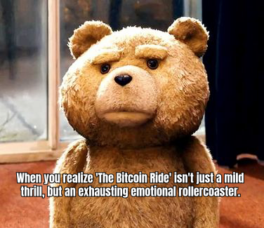 A rollercoaster with Bitcoin logos on the cars, with passengers looking thrilled and terrified, and the caption 